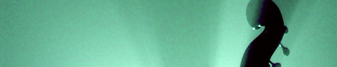 dj musique composition trame sonore bruno lachapelle